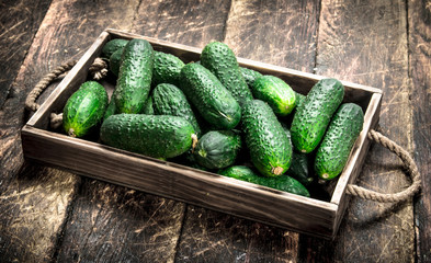 fresh cucumber on an old tray.