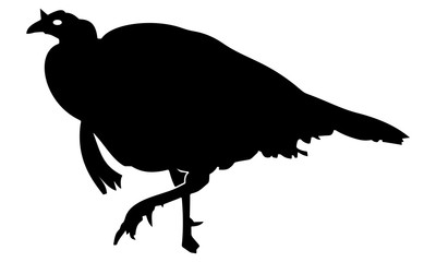 running turkey silhouette