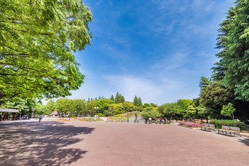 世田谷公園