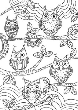 Funny owls sitting on a tree.