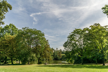 Fototapeta na wymiar Trees and sky in park