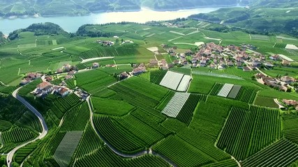 Val di Non - aerial view