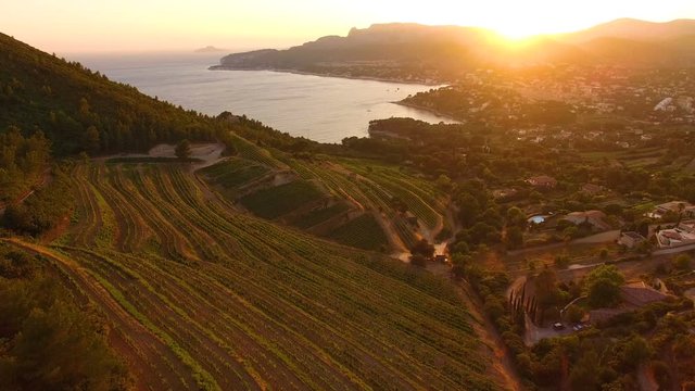 Aerial: French Riviera town Cassis just under some vineyards on the hill at golden sunset.