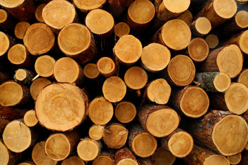 Pile of woods