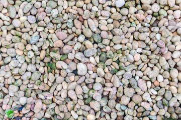 Stone pebbles texture or stone pebbles background for interior design business. exterior decoration and industrial construction idea concept design. Stone pebbles motifs that occurs natural.