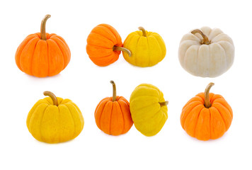Small pumpkin isolated on white background