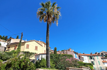Hyères les Palmiers - Provence - France