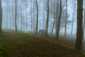 Obraz premium Mist in Morning Mon Sone View Point, Doi Pha Hom Pok National Park, Angkhang mountain, chiang mai, Thailand