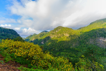 Fototapeta na wymiar view from Sui Thang viewpoint at Angkhang mountain