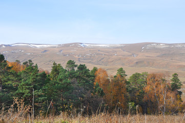Fototapeta premium Mixed forest on the plateau of Lagonaki. Republic of Adygea, Russian Federation