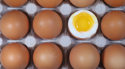 Brown raw eggs in a box except one egg is boiled