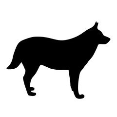 black silhouette of dog on white background of vector illustration