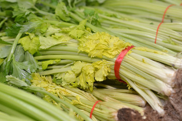 Bunch of Chinese celery