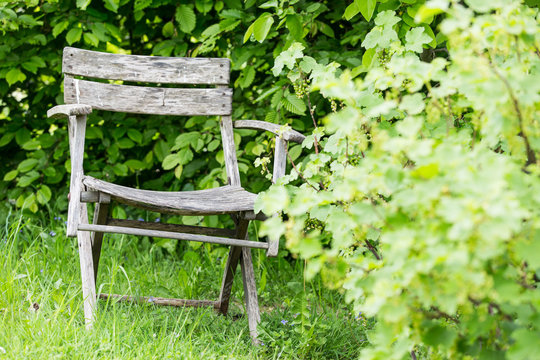 Old dilapidated garden chair