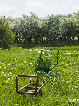 Barrow in field
