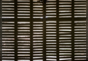 texture of blinds shutters background