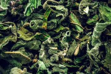 Peppermint tea macro Background