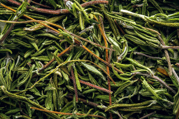 Dried rosemary macro Background