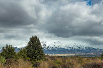 Mt. Ruapehu as seen from the Desert Road in New Zealand