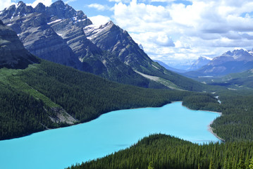 Fototapeta na wymiar Peyto Lake im Banff National Park Kanada