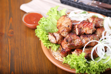 Tasty Kebabs - grilled meat with onion on a plate