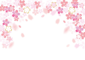 桜 フレームふわり 白