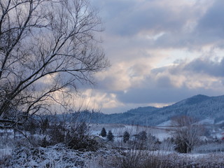 Winterland_1