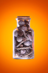 Retro a bottle with dry plants corals and sea stones on a orange background.