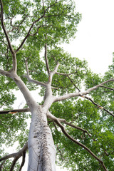 hand close up sanding in the work shop