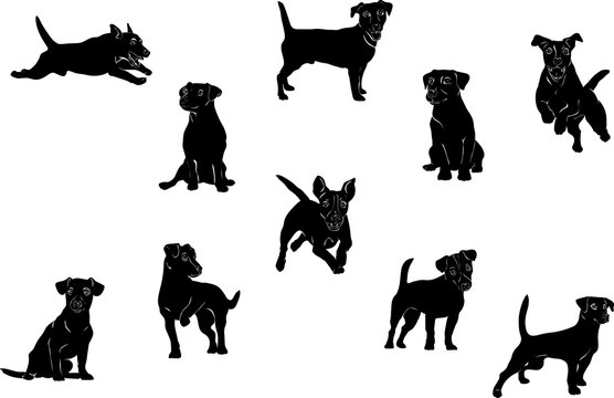 Jack Russell Terrier, dog, vector, black, silhouette, figure