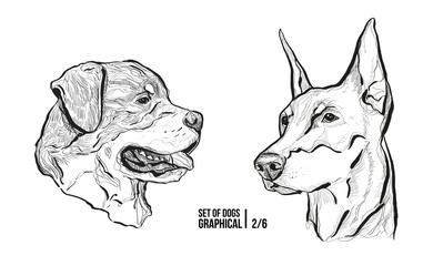 Set of portraits of dogs. Breeds Rottweiler and Doberman. Graphical vector illustration - 187609903