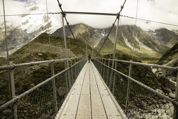 suspension bridge nz