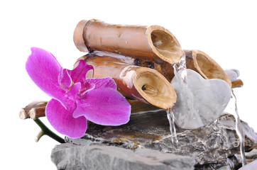 orchid on small fountain and pebble in heart shape on white background