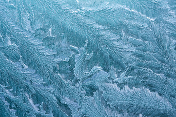 The ice-cold frost forms ice crystals in beautiful unique patterns