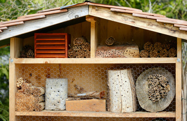 Insect hotel with bamboo sticks