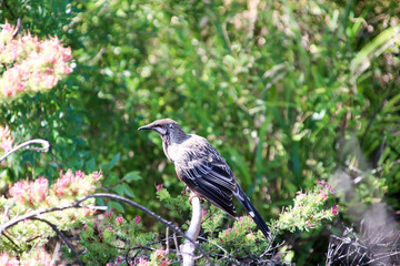 Bird resting on branch