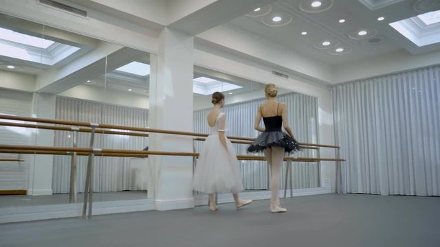 The two ballerinas are coming into the big ballet class and stand near the barre in front of the mirror. The dancer in white dress enjoys the beginnig of the training and her graceful colleague in