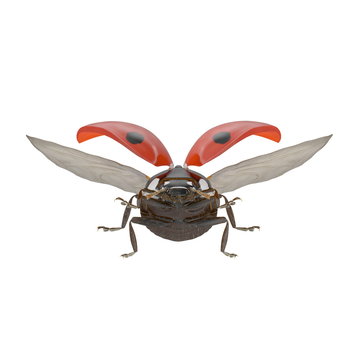 Ladybug flying on white. 3D illustration