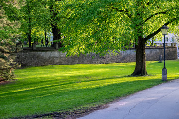 The stone way in the park