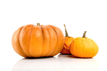 Three pumpkins isolated on white background.
