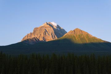 Green forest with big mountains in Banff near Lake Louise during sunrise
