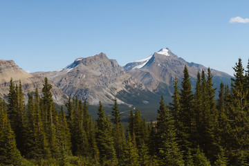 Scenic valley with river in Rocky Mountains in Canada on sunny day