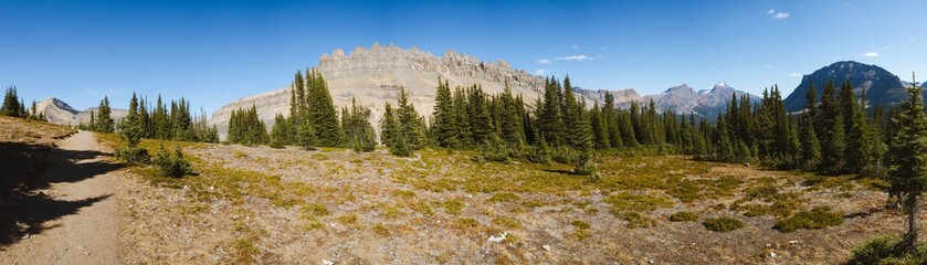 Fototapeta premium Beautiful hike trail in forest in Rocky Mountains in Canada on sunny day