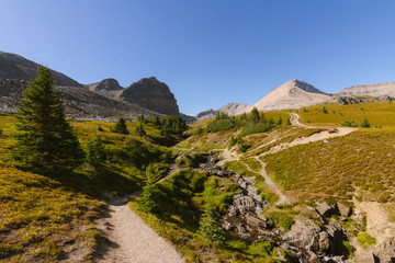 Beautiful hike trail above forest in Rocky Mountains in Canada on sunny day