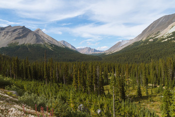 Fototapeta na wymiar Beautiful hike trail above tree line in Rocky Mountains in Canada on sunny day