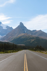 Fototapeta premium Scenic Icefields Parkway highway in Rocky Mountains, Alberta, Canada on sunny day
