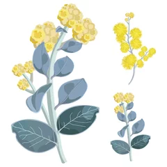 Zelfklevend Fotobehang Set of Wattle tree Flowers Vector Illustration © SKETCHBOOKDESIGNS