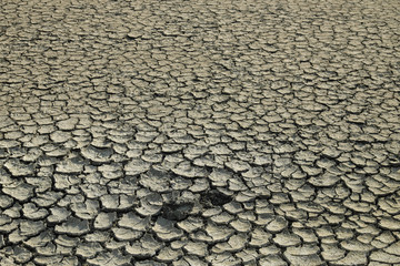 crack dry soil background