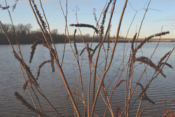 Nature landscape in winter.