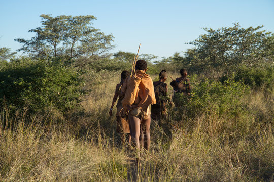 bushmen of the kalahari desert in africa